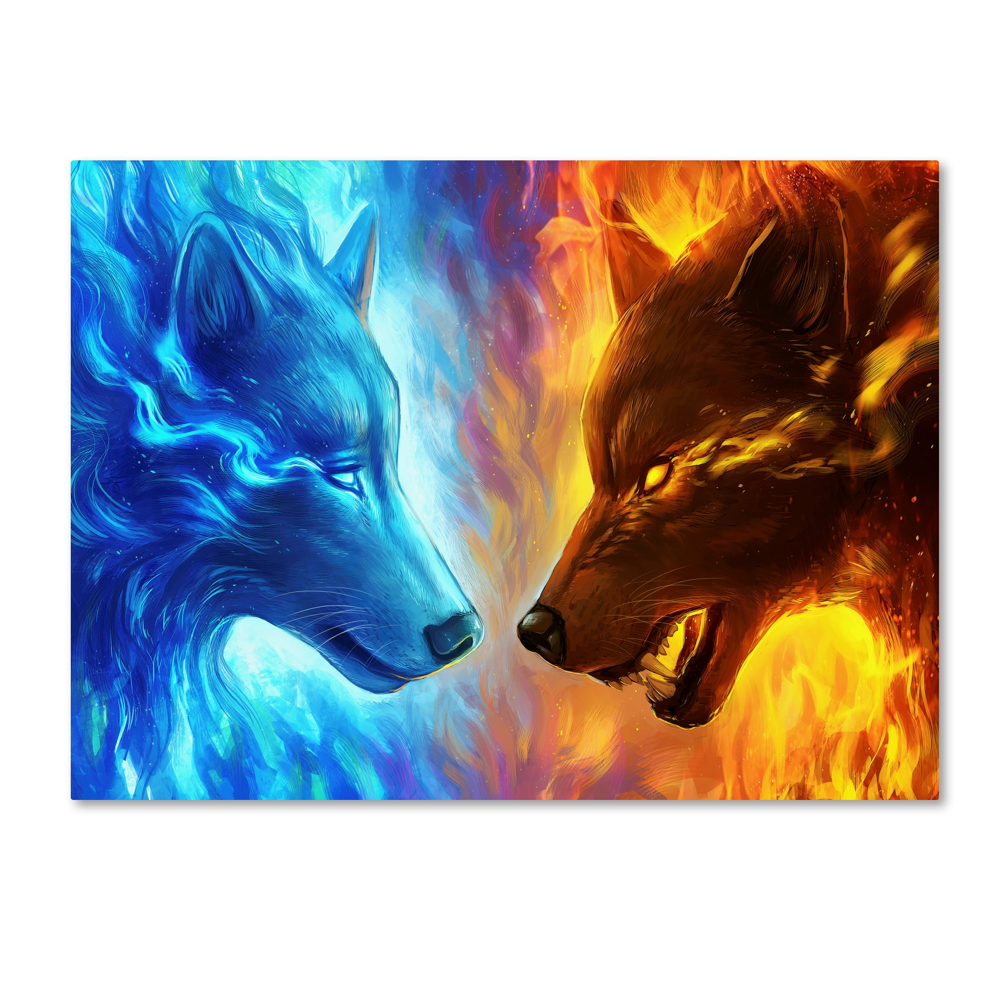 Trademark Fine Art 'Fire and Ice' Canvas Art by JoJoesArt