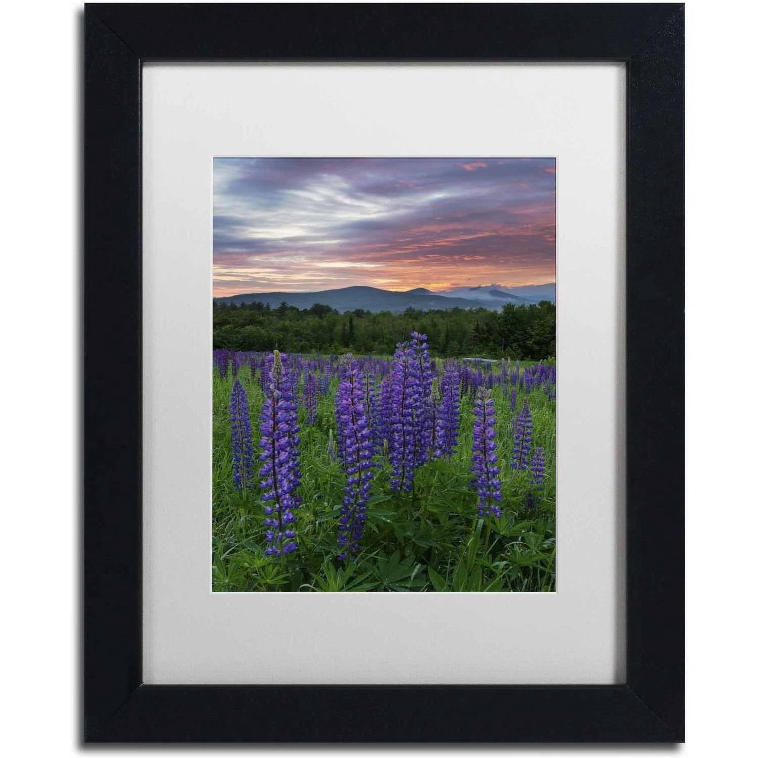 Trademark Fine Art 'Fire in the Sky' Canvas Art by Michael Blanchette Photography, White Matte, Black Frame