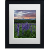 Trademark Fine Art 'Fire in the Sky' Canvas Art by Michael Blanchette Photography, White Matte, Black Frame