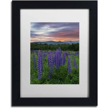 Trademark Fine Art 'Fire in the Sky' Canvas Art by Michael Blanchette Photography, White Matte, Black Frame