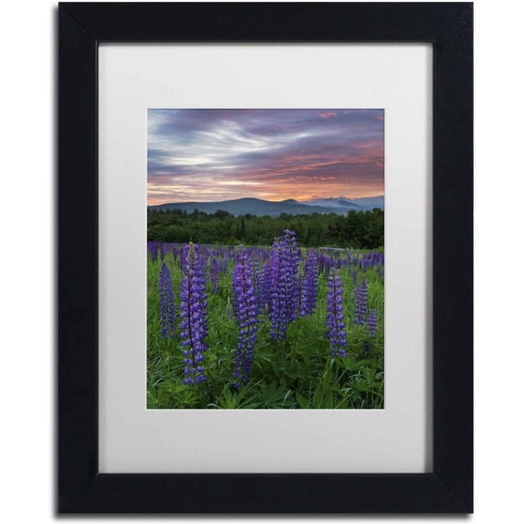 Trademark Fine Art 'Fire in the Sky' Canvas Art by Michael Blanchette Photography, White Matte, Black Frame