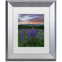 Trademark Fine Art 'Fire in the Sky' Canvas Art by Michael Blanchette Photography, White Matte, Silver Frame
