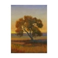 thumbnail image 1 of Trademark Fine Art 'Firelight I' Canvas Art by Tim OToole, 1 of 4