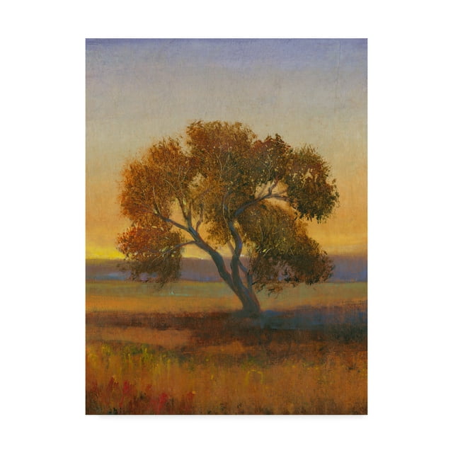Trademark Fine Art 'Firelight I' Canvas Art by Tim OToole