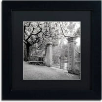 Trademark Fine Art "Firenze I" Canvas Art by Alan Blaustein, Black Matte, Black Frame