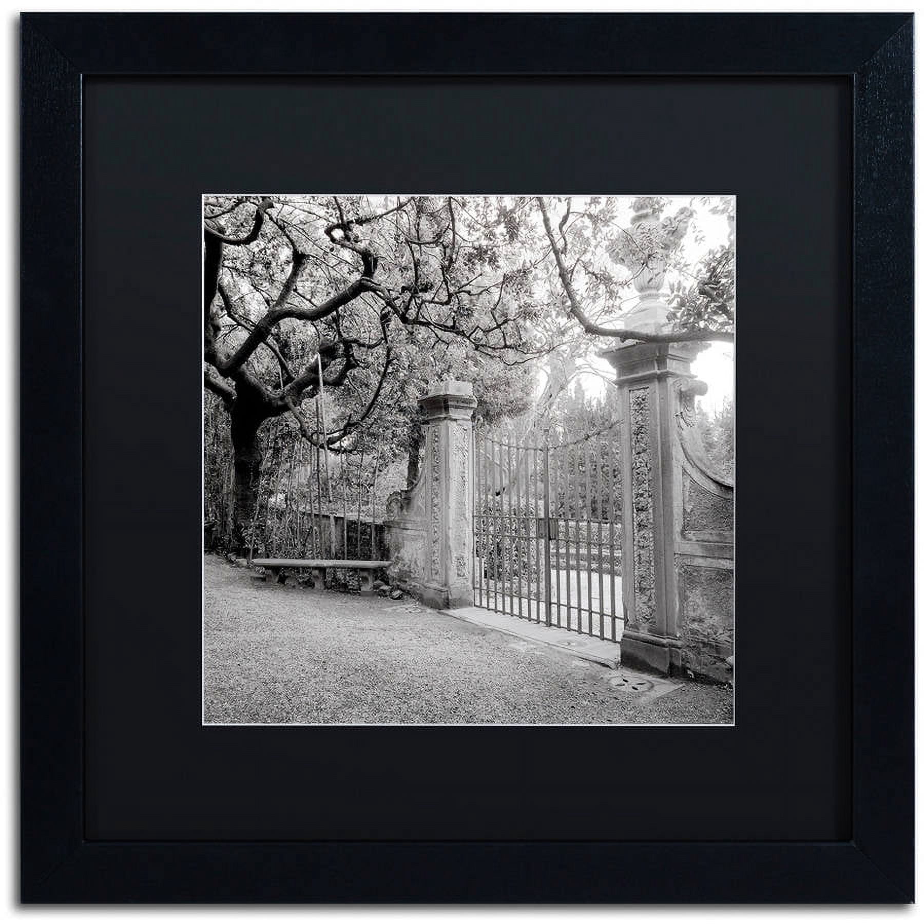 Trademark Fine Art "Firenze I" Canvas Art by Alan Blaustein, Black Matte, Black Frame