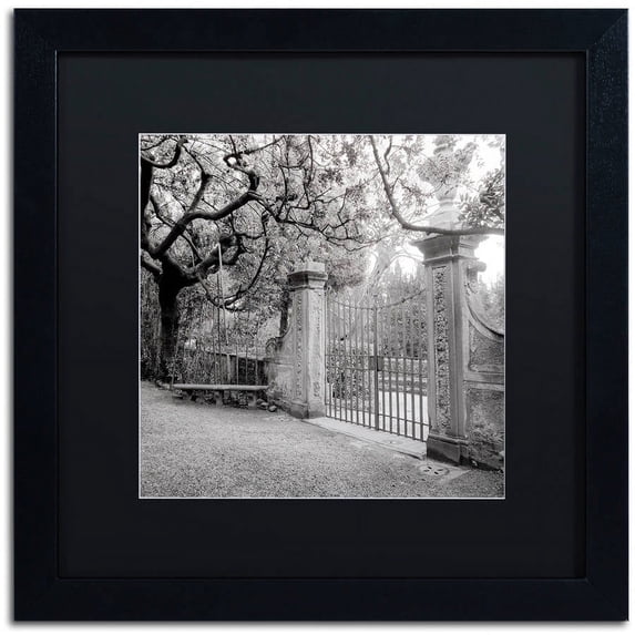 Trademark Fine Art "Firenze I" Canvas Art by Alan Blaustein, Black Matte, Black Frame