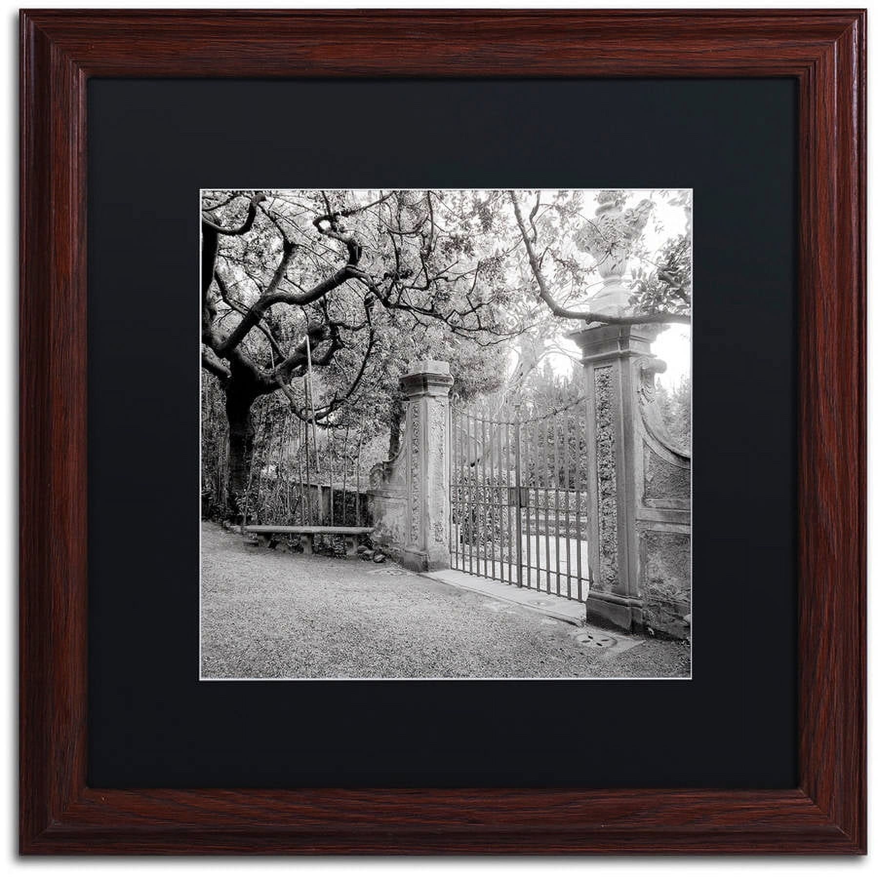 Trademark Fine Art "Firenze I" Canvas Art by Alan Blaustein, Black Matte, Wood Frame