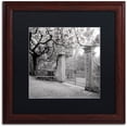 thumbnail image 1 of Trademark Fine Art "Firenze I" Canvas Art by Alan Blaustein, Black Matte, Wood Frame, 1 of 4