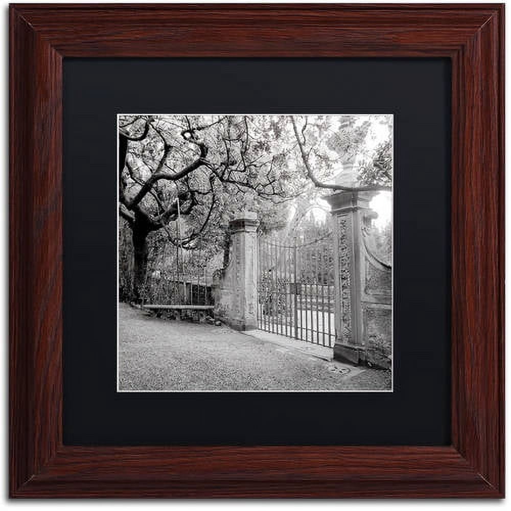 Trademark Fine Art "Firenze I" Canvas Art by Alan Blaustein, Black Matte, Wood Frame