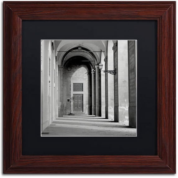 Trademark Fine Art "Firenze III" Canvas Art by Alan Blaustein, Black Matte, Wood Frame