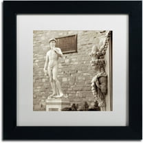 Trademark Fine Art "Firenze IV" Canvas Art by Alan Blaustein, White Matte, Black Frame