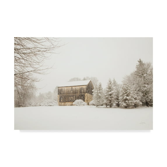 Trademark Fine Art 'First Blanket' Canvas Art by Aledanda