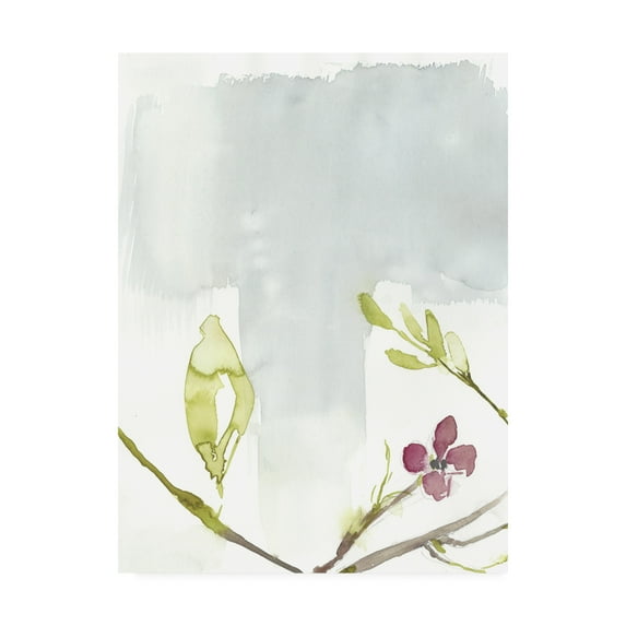 Trademark Fine Art 'First Blooms II' Canvas Art by Jennifer Goldberger