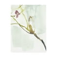 thumbnail image 1 of Trademark Fine Art 'First Blooms VI' Canvas Art by Jennifer Goldberger, 1 of 3
