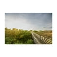 thumbnail image 1 of Trademark Fine Art 'First Landing Dunes II' Canvas Art by Adam Mead, 1 of 4