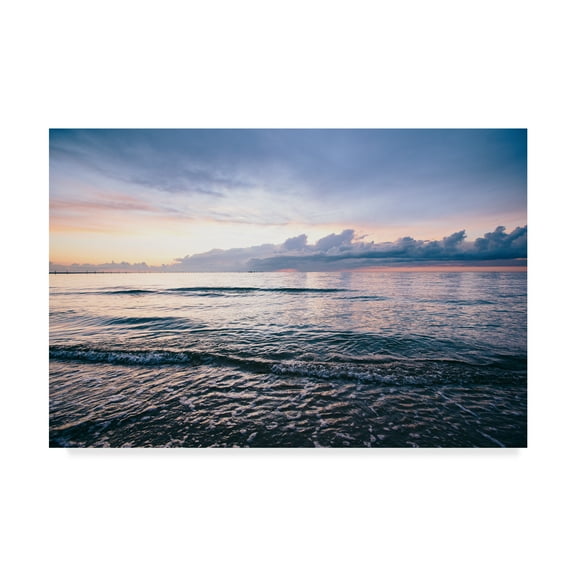 Trademark Fine Art 'First LandingSea IV' Canvas Art by Adam Mead