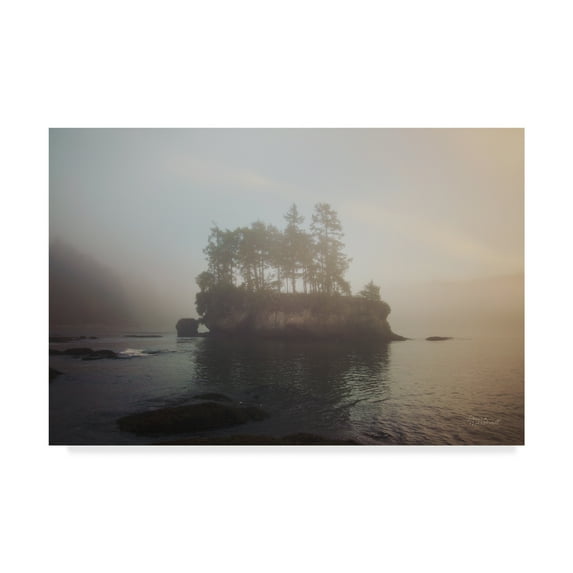 Trademark Fine Art 'First Light on the Island' Canvas Art by Laura Marshall
