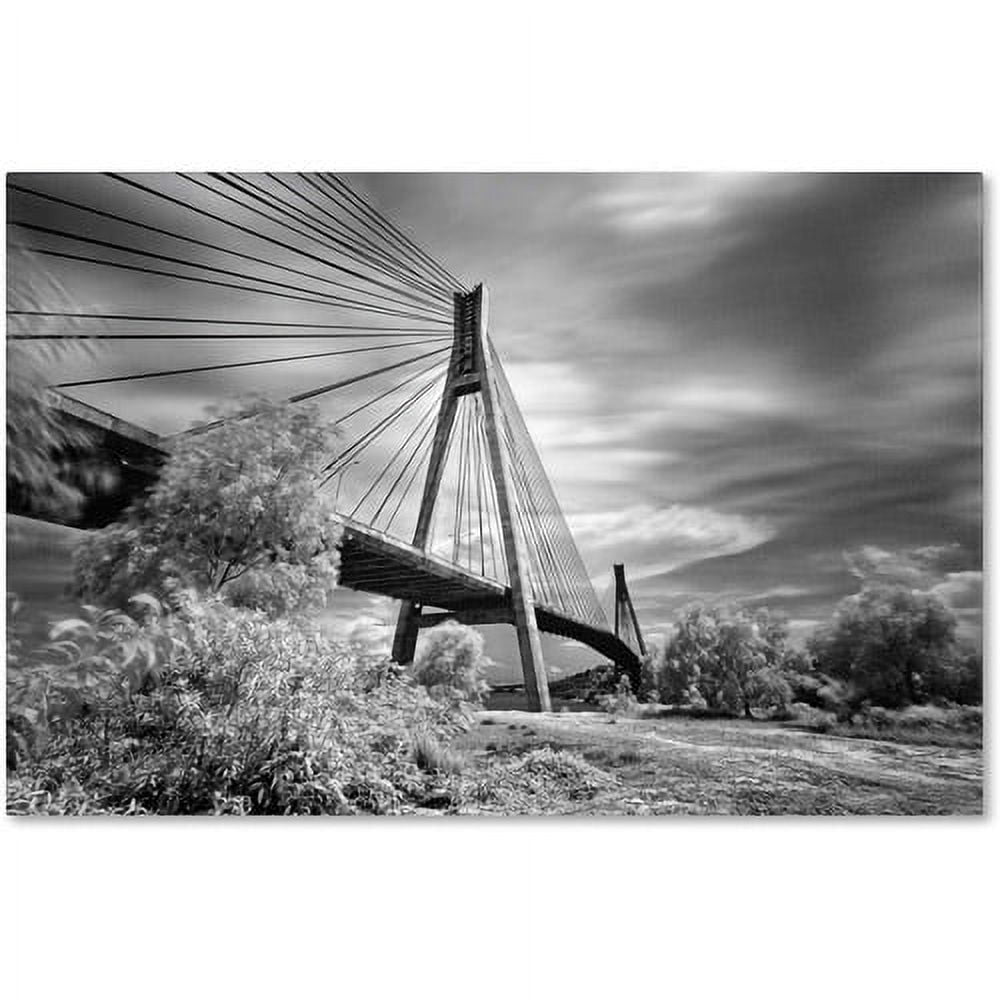 Trademark Fine Art "First Link" Canvas Art by Michael de Guzman