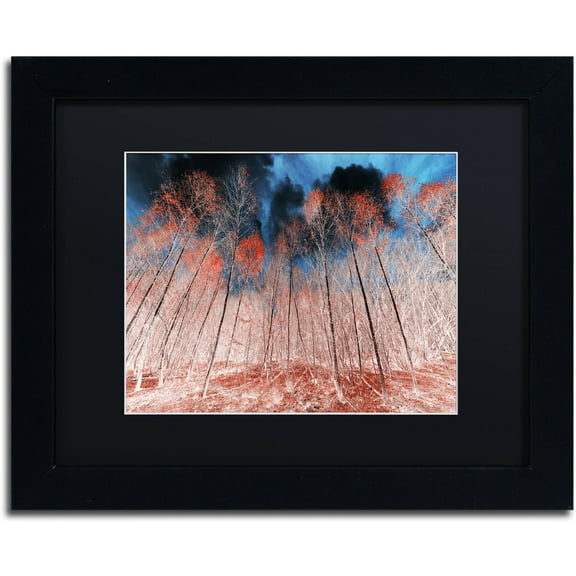 Trademark Fine Art "First Show" Canvas Art by Philippe Sainte-Laudy Black Matte, Black Frame