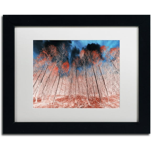 Trademark Fine Art "First Show" Canvas Art by Philippe Sainte-Laudy White Matte, Black Frame