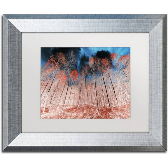 Trademark Fine Art "First Show" Canvas Art by Philippe Sainte-Laudy White Matte, Silver Frame