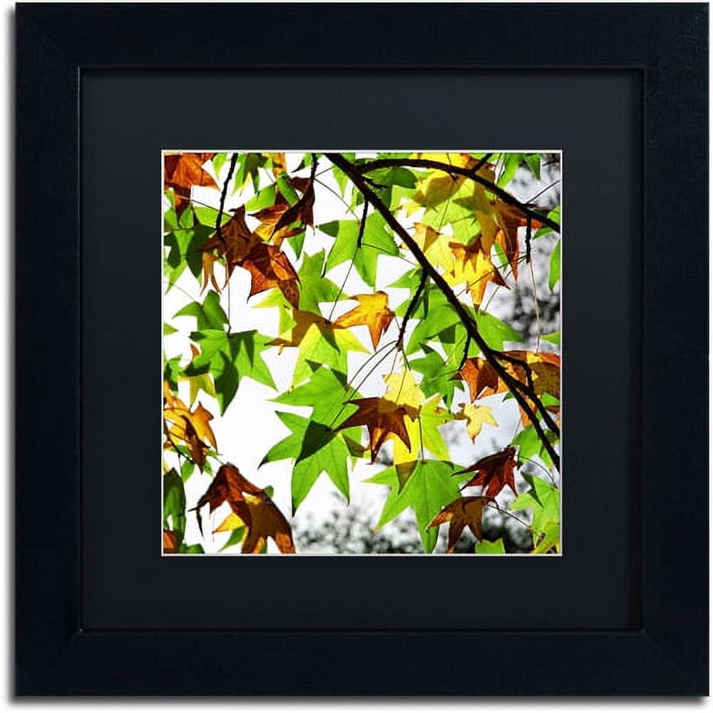 Trademark Fine Art "First Signs" Canvas Art by Beata Czyzowska Young, Black Matte, Black Frame