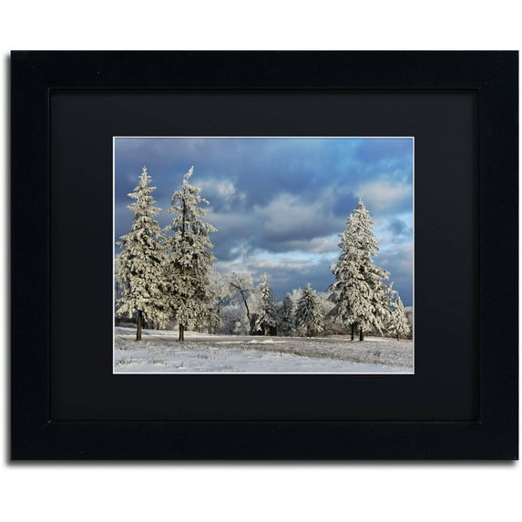 Trademark Fine Art "First Snow of the Year" Canvas Art by Lois Bryan Black Matte, Black Frame