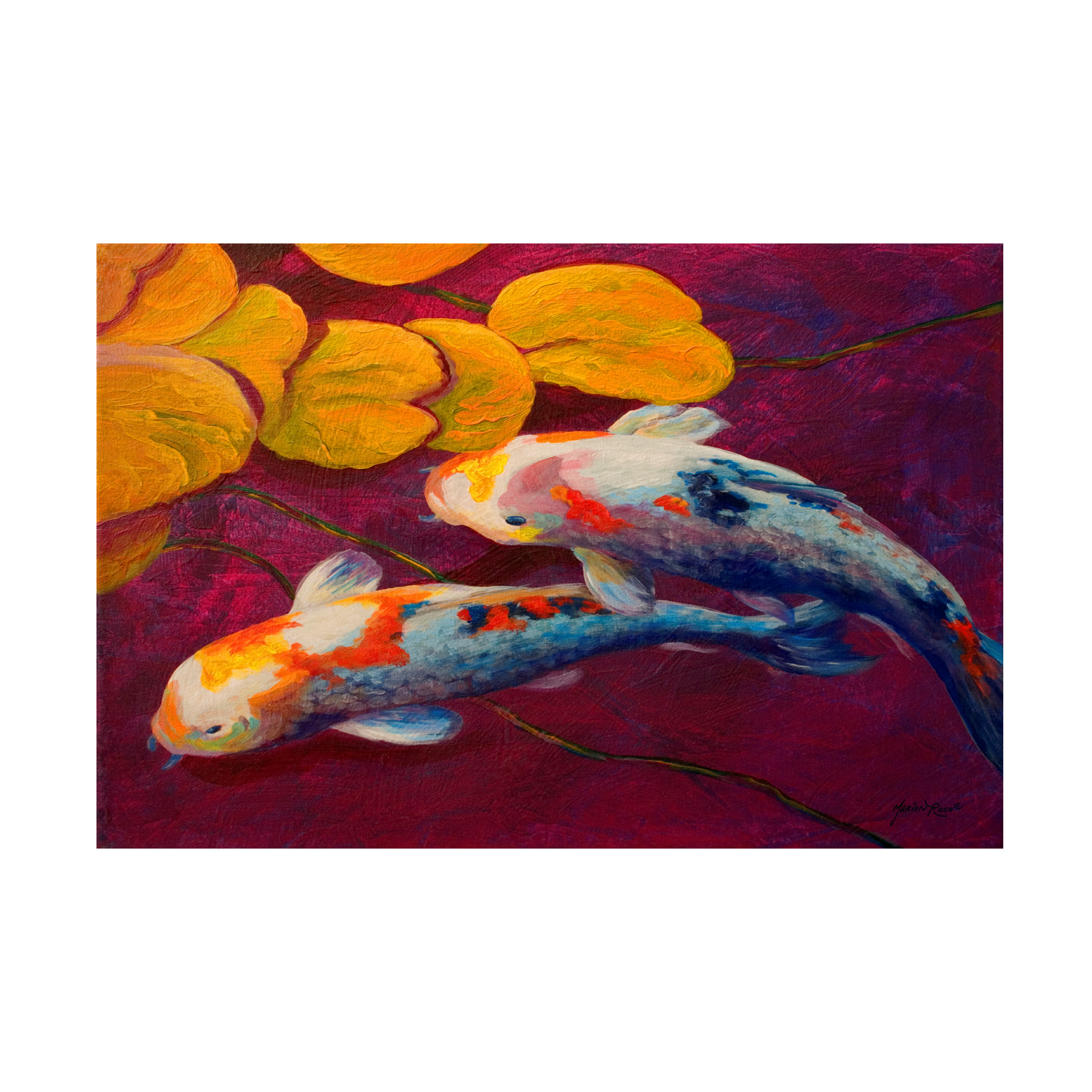 Trademark Fine Art 'Fish' Canvas Art by Marion Rose