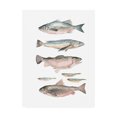 thumbnail image 1 of Trademark Fine Art 'Fish Composition I' Canvas Art by Emma Scarvey, 1 of 3