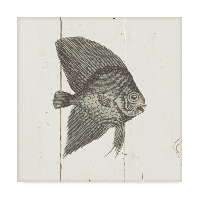 Trademark Fine Art 'Fish Sketches III Shiplap' Canvas Art by Wild Apple Portfolio