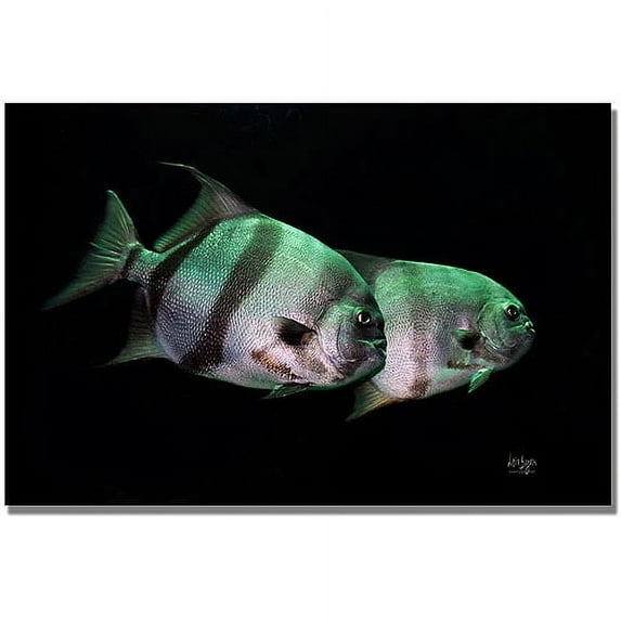 Trademark Fine Art "Fish in the Dark" Canvas Wall Art by Lois Bryan