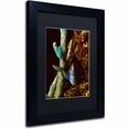 thumbnail image 1 of Trademark Fine Art "Fish in the Rocks" Canvas Art by Kurt Shaffer, Black Matte, Black Frame, 1 of 5