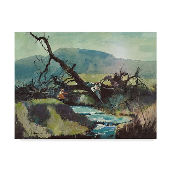 Trademark Fine Art 'Fishing Retreat III' Canvas Art by Roy M. Mason