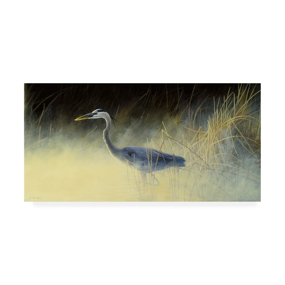 Trademark Fine Art 'Fishing The Mist' Canvas Art by Michael Budden