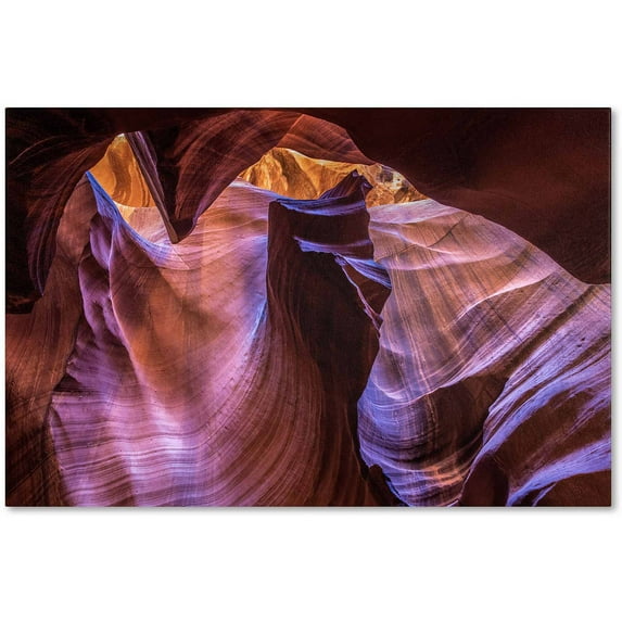 Trademark Fine Art "Fist" Canvas Art by Pierre Leclerc