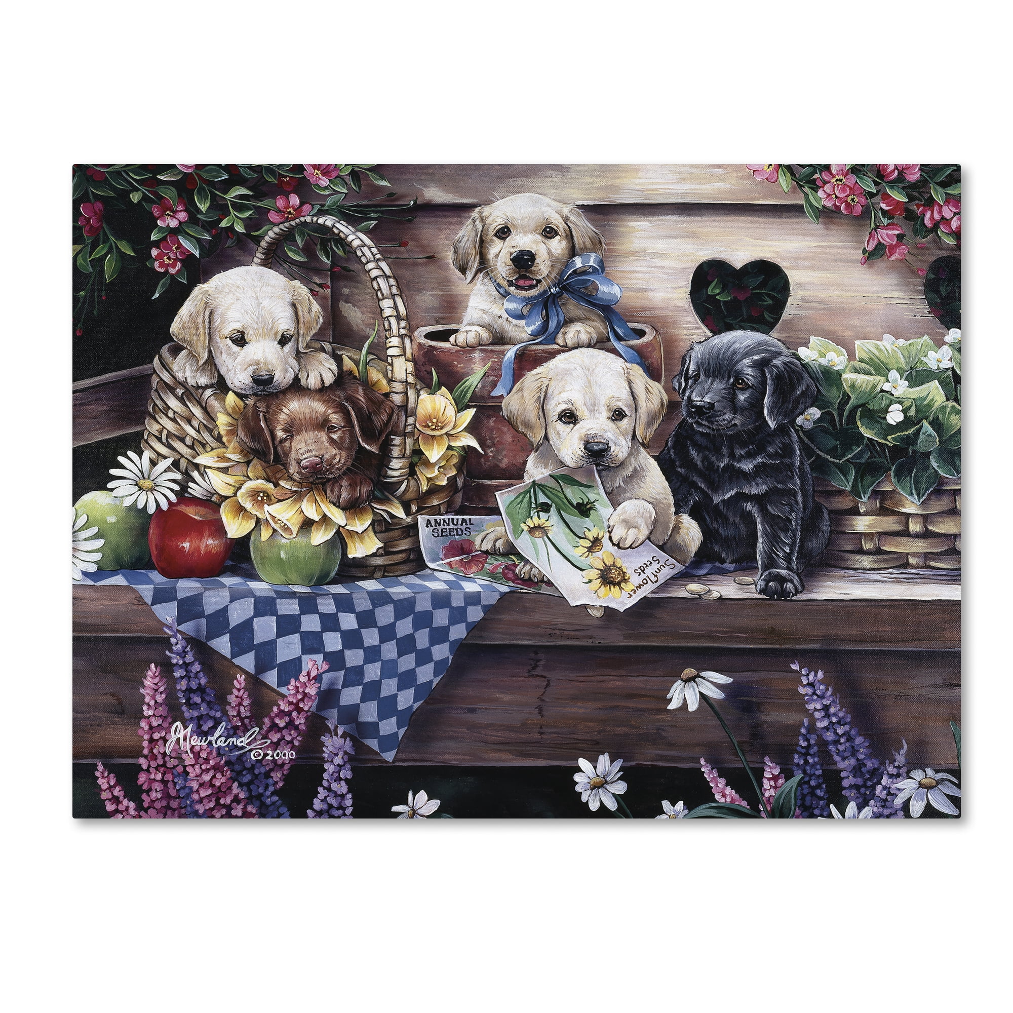 Trademark Fine Art 'Five Puppies' Canvas Art by Jenny Newland