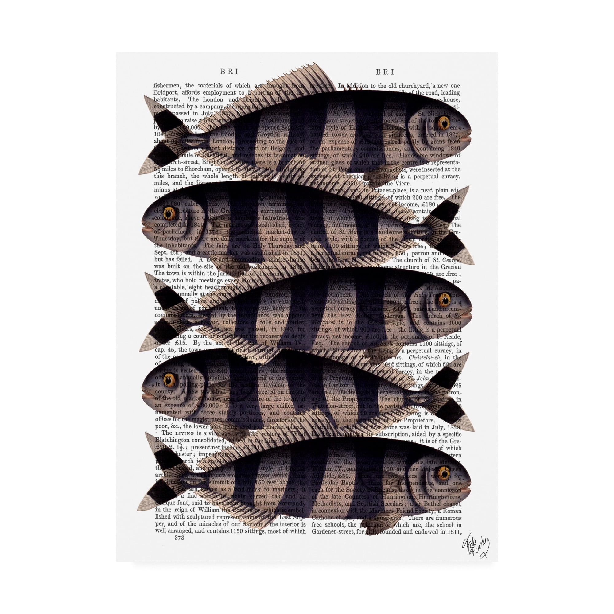 Trademark Fine Art 'Five Striped Fish' Canvas Art by Fab Funky