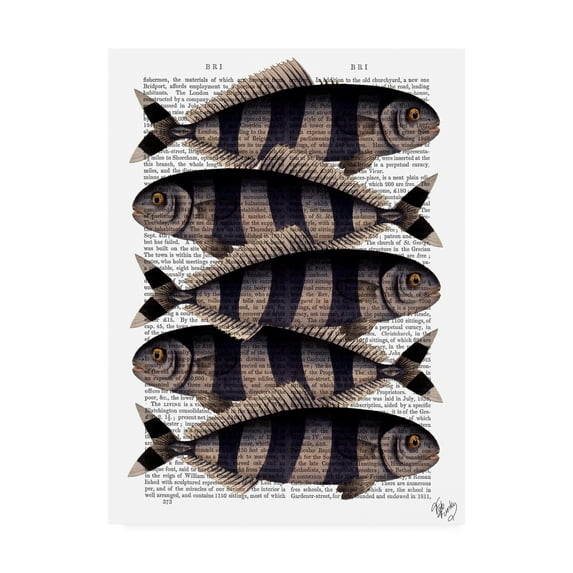 Trademark Fine Art 'Five Striped Fish' Canvas Art by Fab Funky
