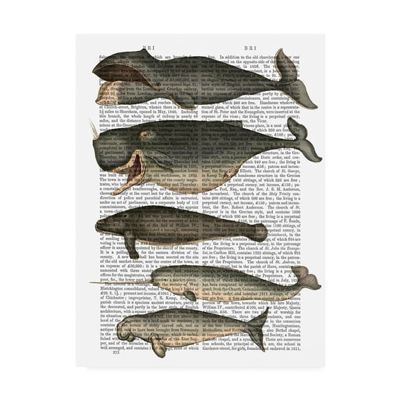 Trademark Fine Art 'Five Vintage Whales Drawn' Canvas Art by Fab Funky