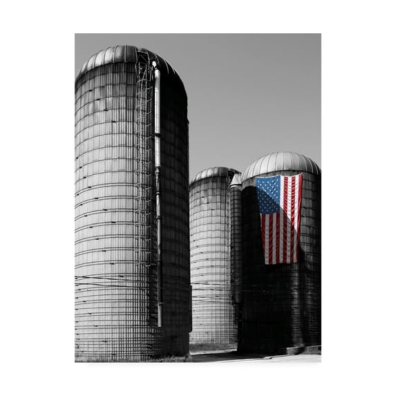 Trademark Fine Art 'Flags of Our Farmers XX' Canvas Art by James McLoughlin