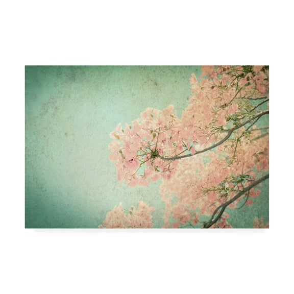 Trademark Fine Art 'Flamboyant II' Canvas Art by PhotoINC Studio