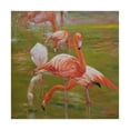 thumbnail image 1 of Trademark Fine Art 'Flamingo I' Canvas Art by Chuck Larivey, 1 of 4