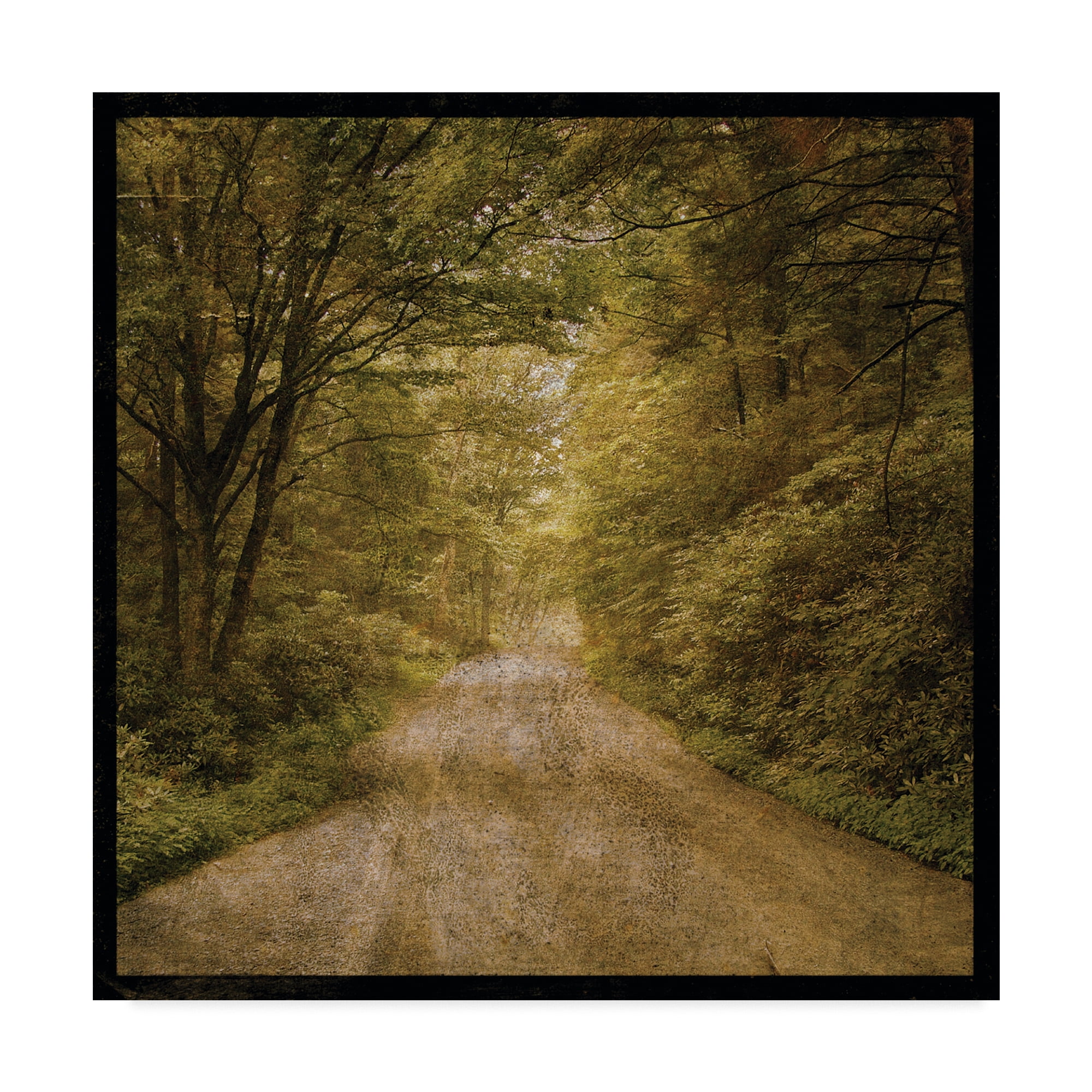 Trademark Fine Art 'Flannery Fork Road' Canvas Art by John W. Golden
