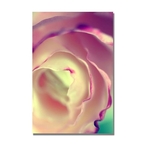Trademark Fine Art "Flavors of Summer" Canvas Art by Beata Czyzowska Young