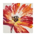 thumbnail image 1 of Trademark Fine Art 'Fleur Rouge I' Canvas Art by Tim OToole, 1 of 4