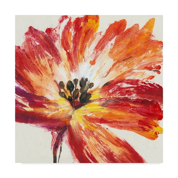 Trademark Fine Art 'Fleur Rouge I' Canvas Art by Tim OToole