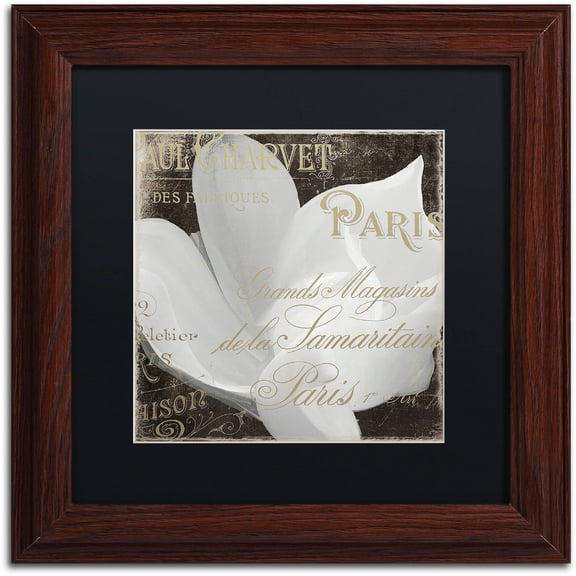 Trademark Fine Art "Fleurs Blanc II" Canvas Art by Color Bakery Black Matte, Wood Frame