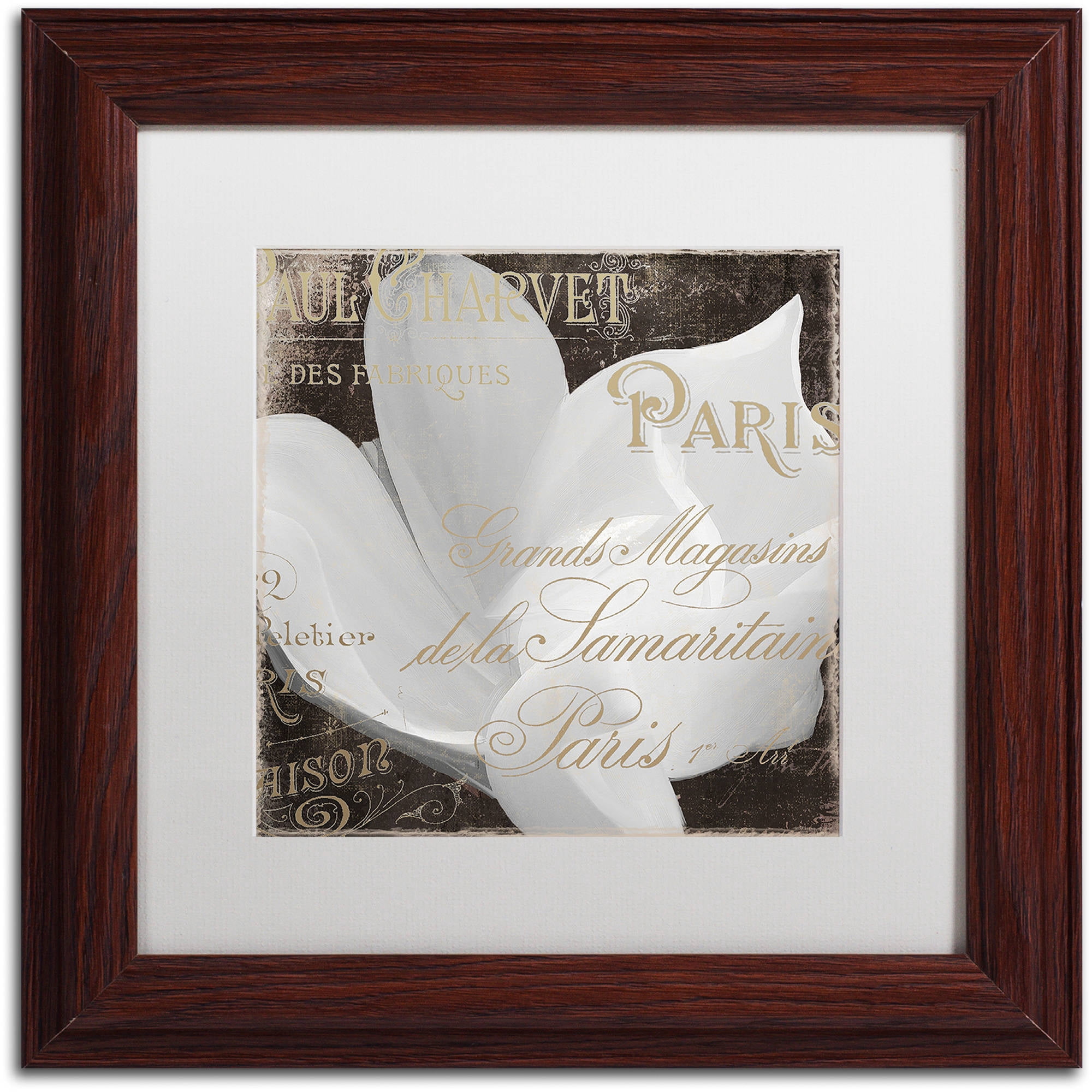 Trademark Fine Art "Fleurs Blanc II" Canvas Art by Color Bakery White Matte, Wood Frame