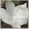 thumbnail image 1 of Trademark Fine Art "Fleurs Blanc II" Canvas Art by Color Bakery, 1 of 3